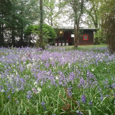 Caban Cwtch Villa Cenarth Exterior foto